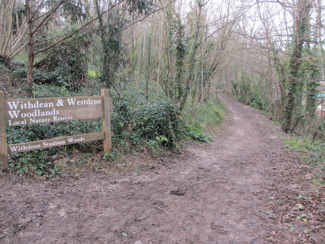 Withdean and Westdene Woods