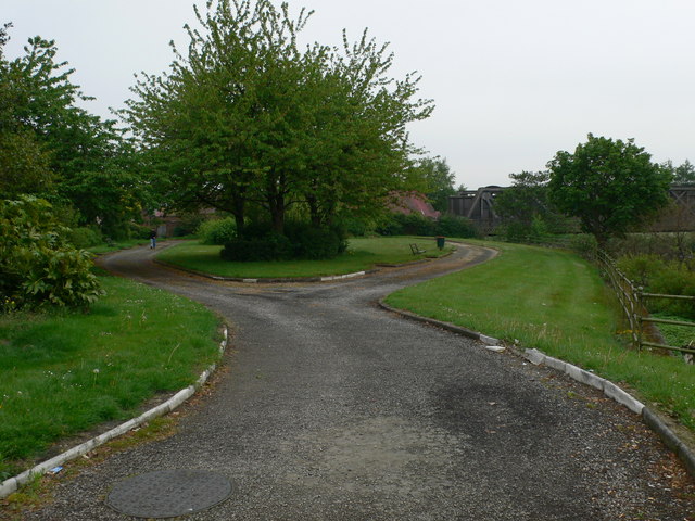 Marshall Gardens