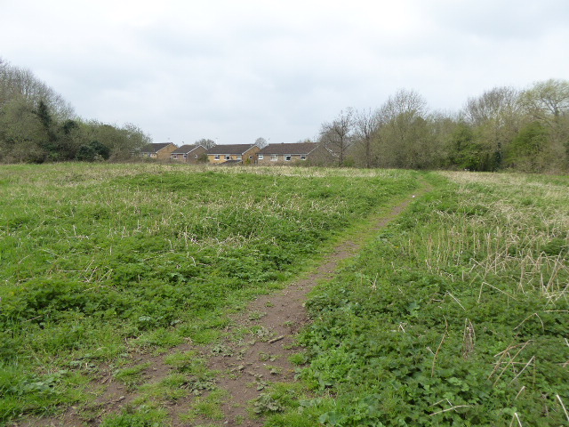 Eastern Road Nature Reserve