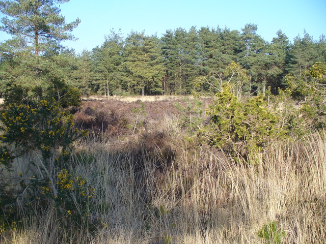 Elstead Group of Commons