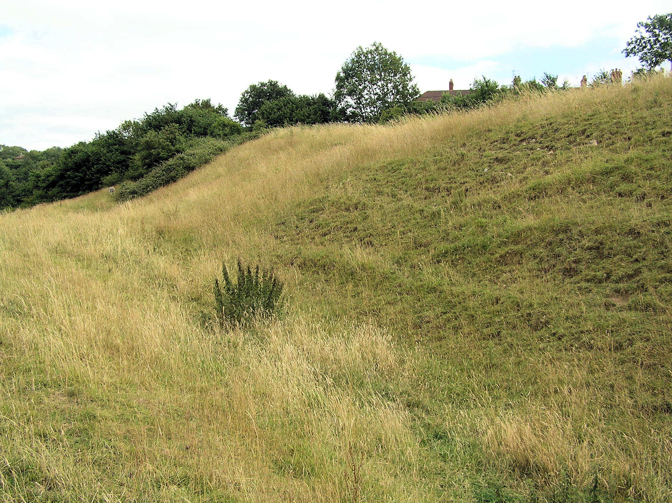 Part of the linear boundary known as the Wansdyke 420m south west of Barrowmead Cottage