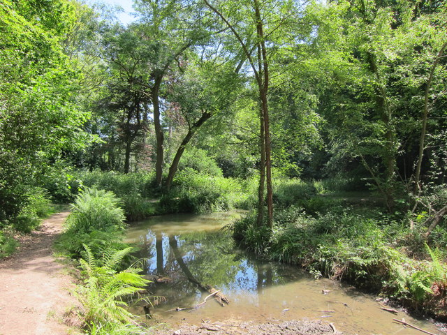 Summerfields Wood