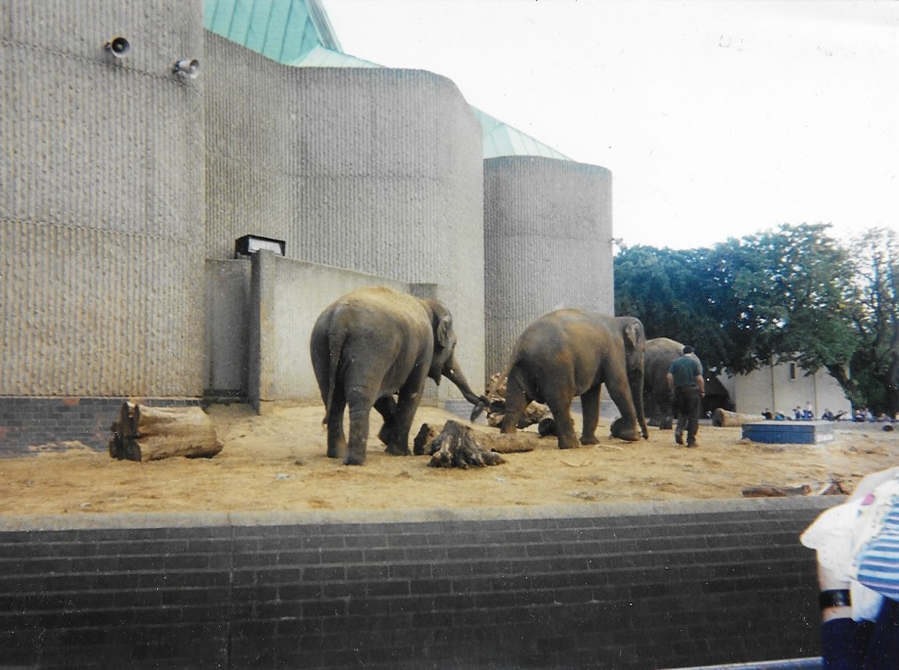 Exterior of London Zoo in London