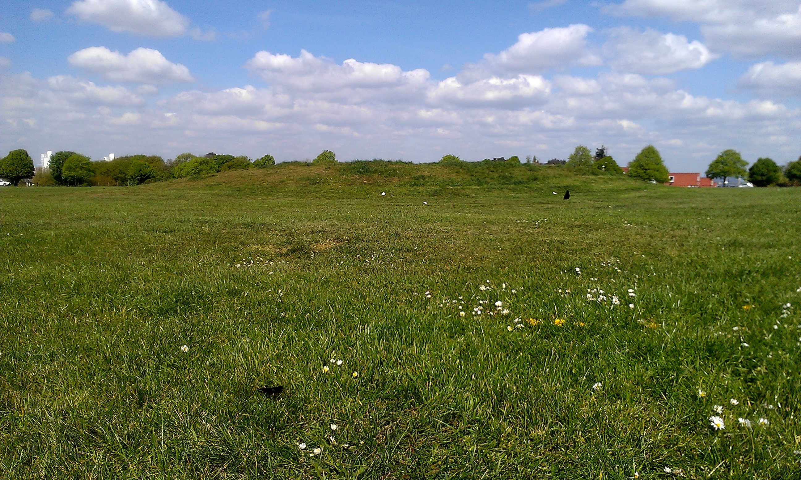 Burial mound on Winns Common, Plumstead