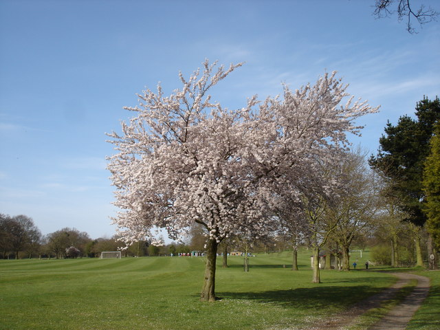 Bourne Park