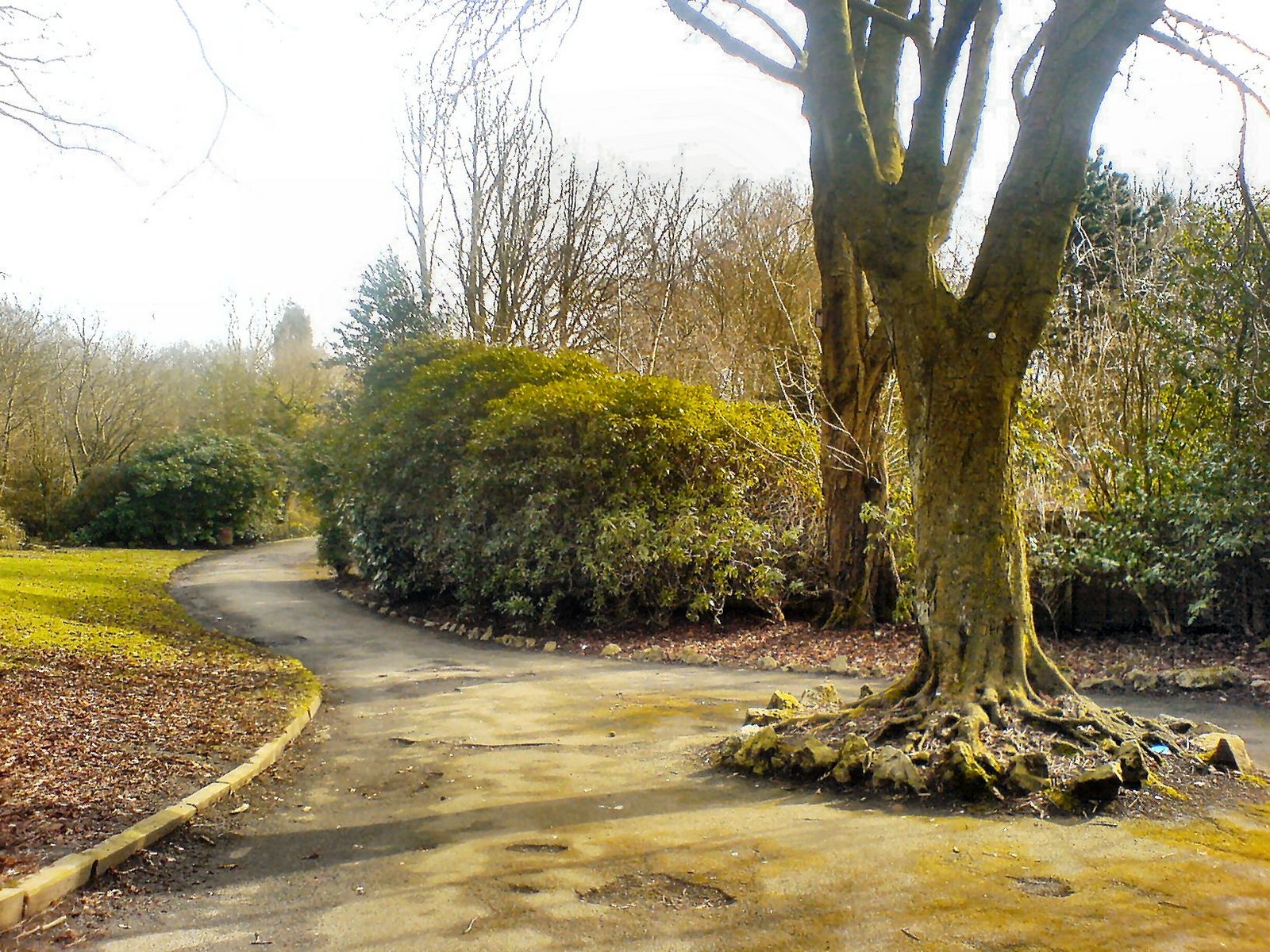Falinge Park, Rochdale