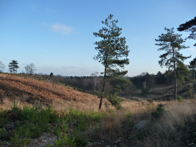 Poors Allotment