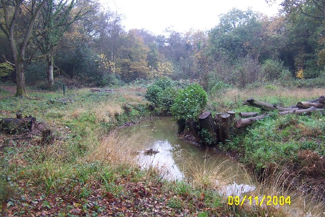 Riverside Walk, Virginia Water