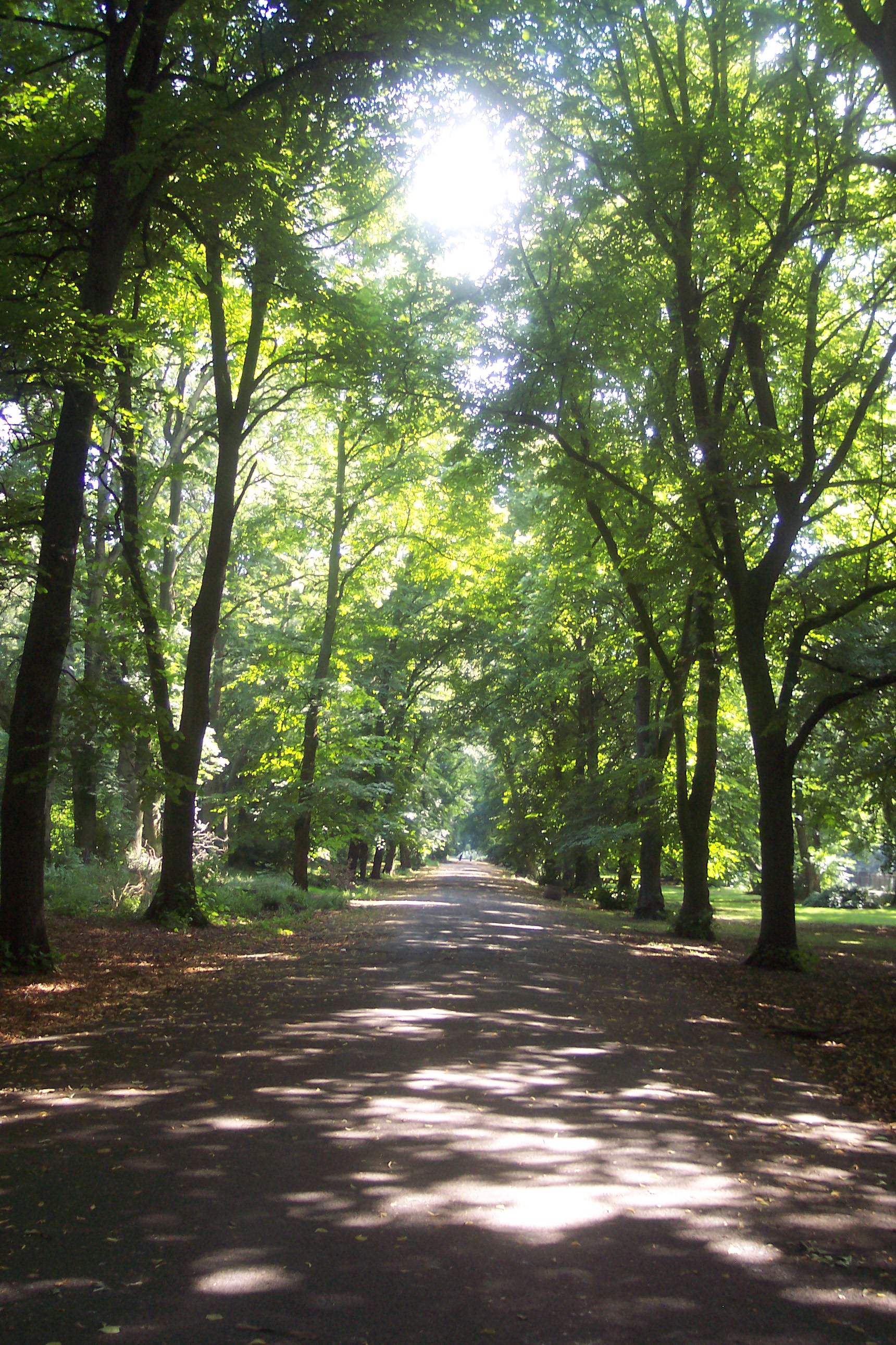 Exterior of Alexandra Park, Manchester in Manchester