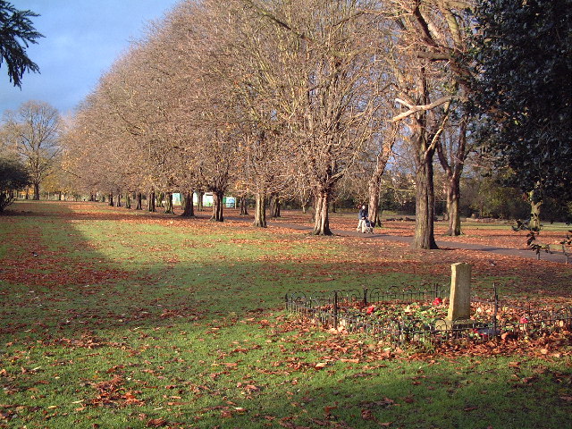 Lammas Park