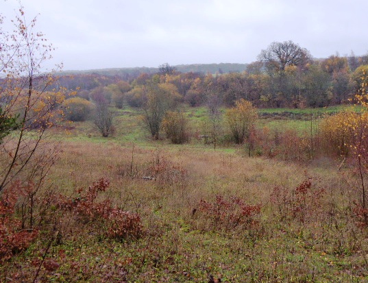 Inholms Clay Pit