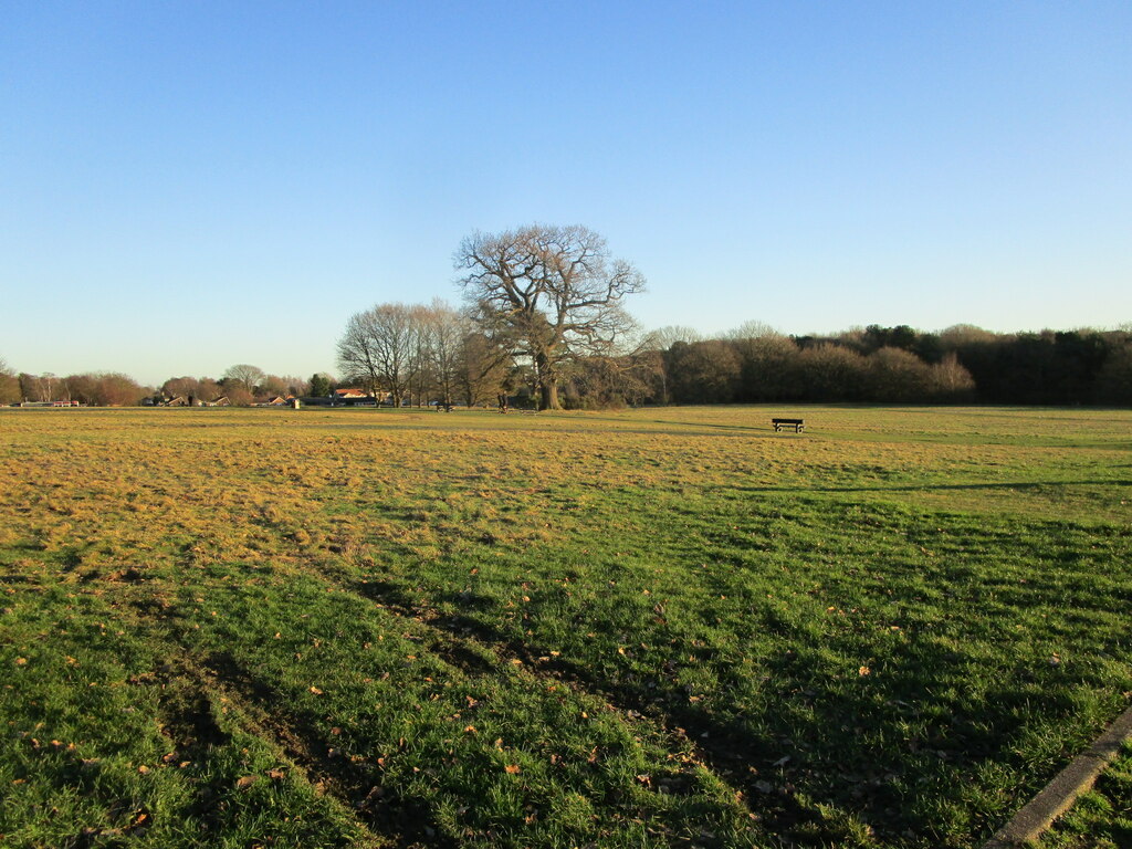 Berry Hill Park