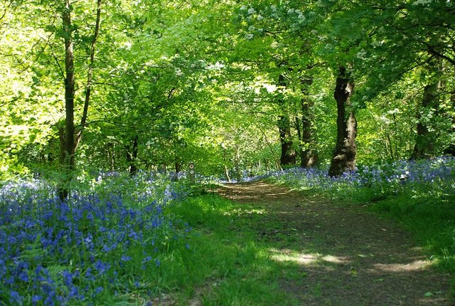 Saltwells Local Nature Reserve