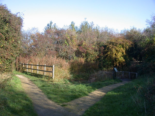 Bramblefields
