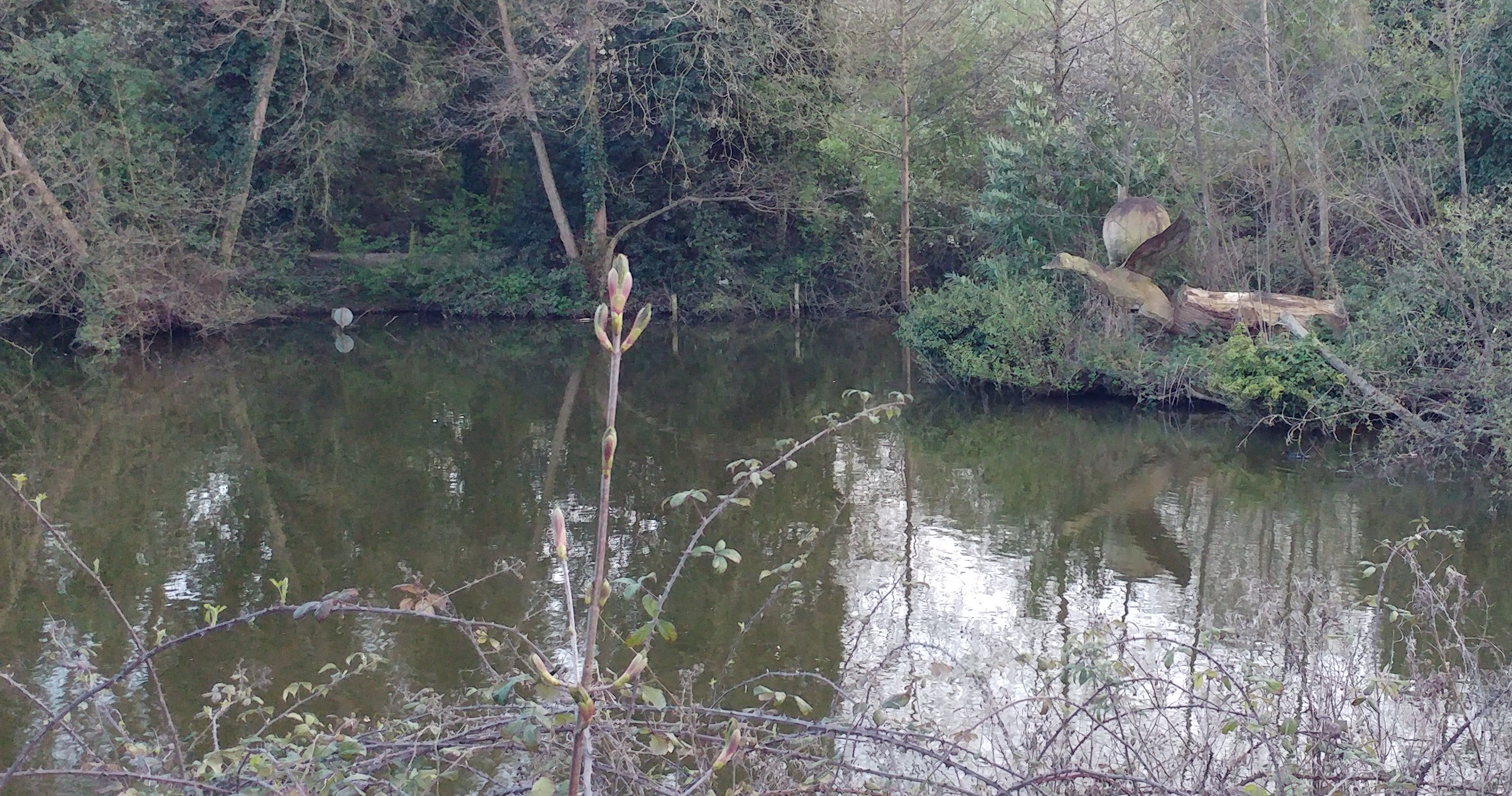 Maiden Erlegh Local Nature Reserve