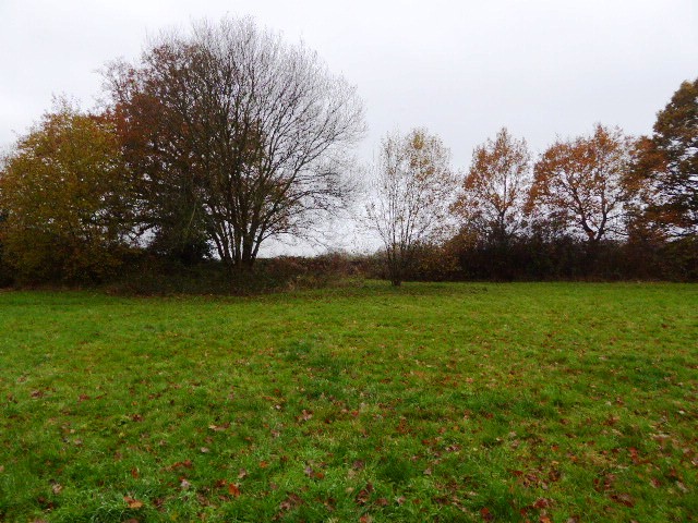 Centenary Fields